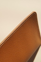 Glasses case