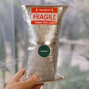 アンスリウム クリスタリナム × マグニフィカム / Anthurium Crystallinum × Magnificum / 観葉植物