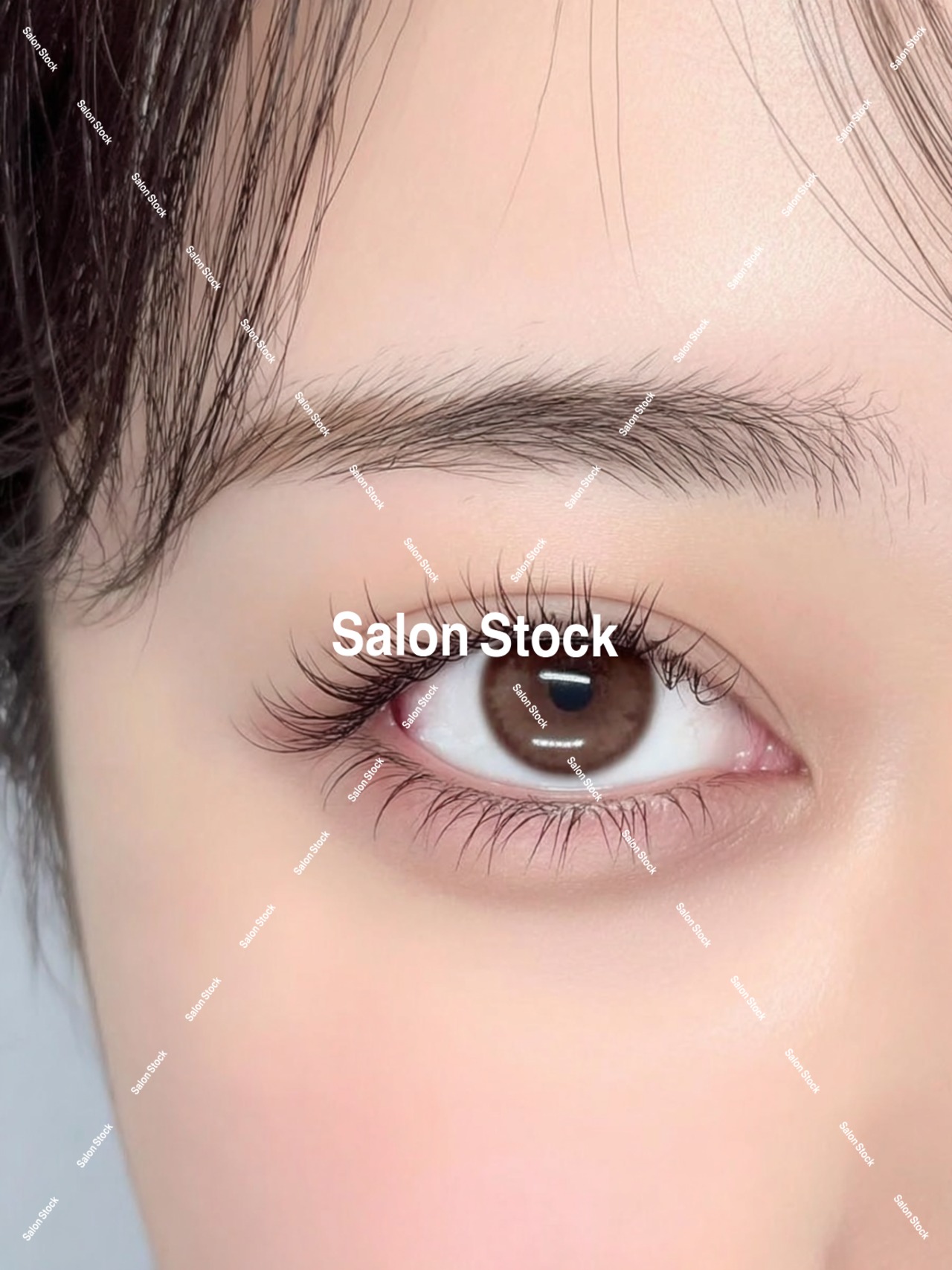 【レディース】アイラッシュ