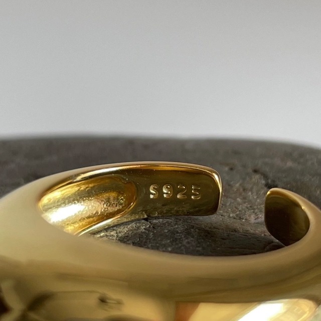 S925 Pukkuring (R34)