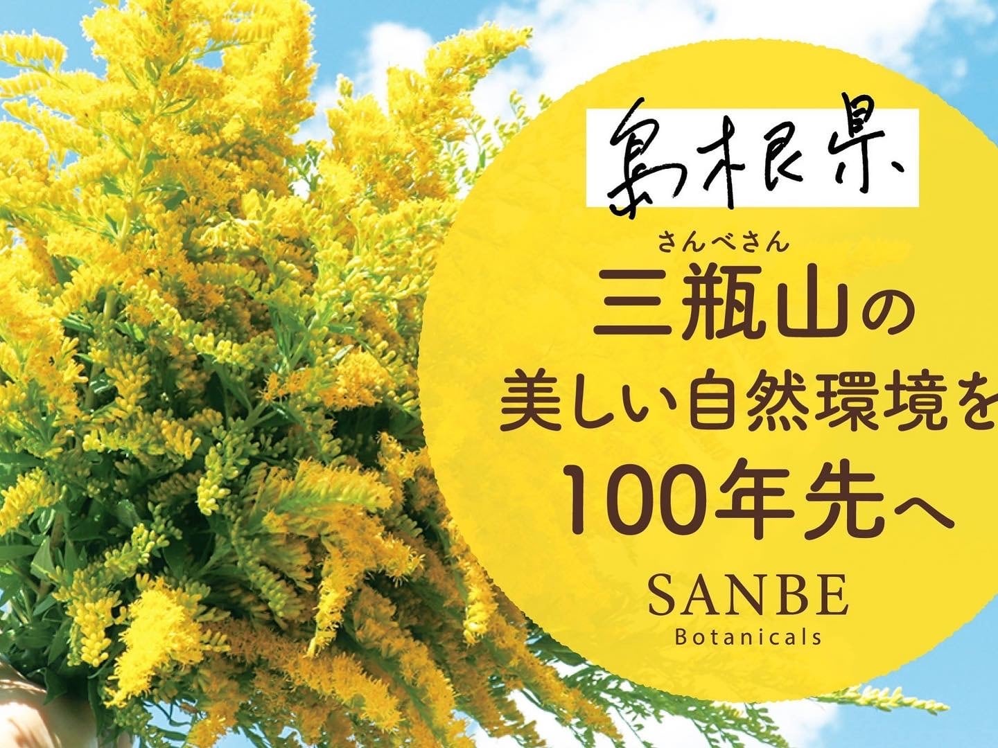 送料込】SANBE Botanicals〈セイタカアワダチソウ〉アロマ3点セット