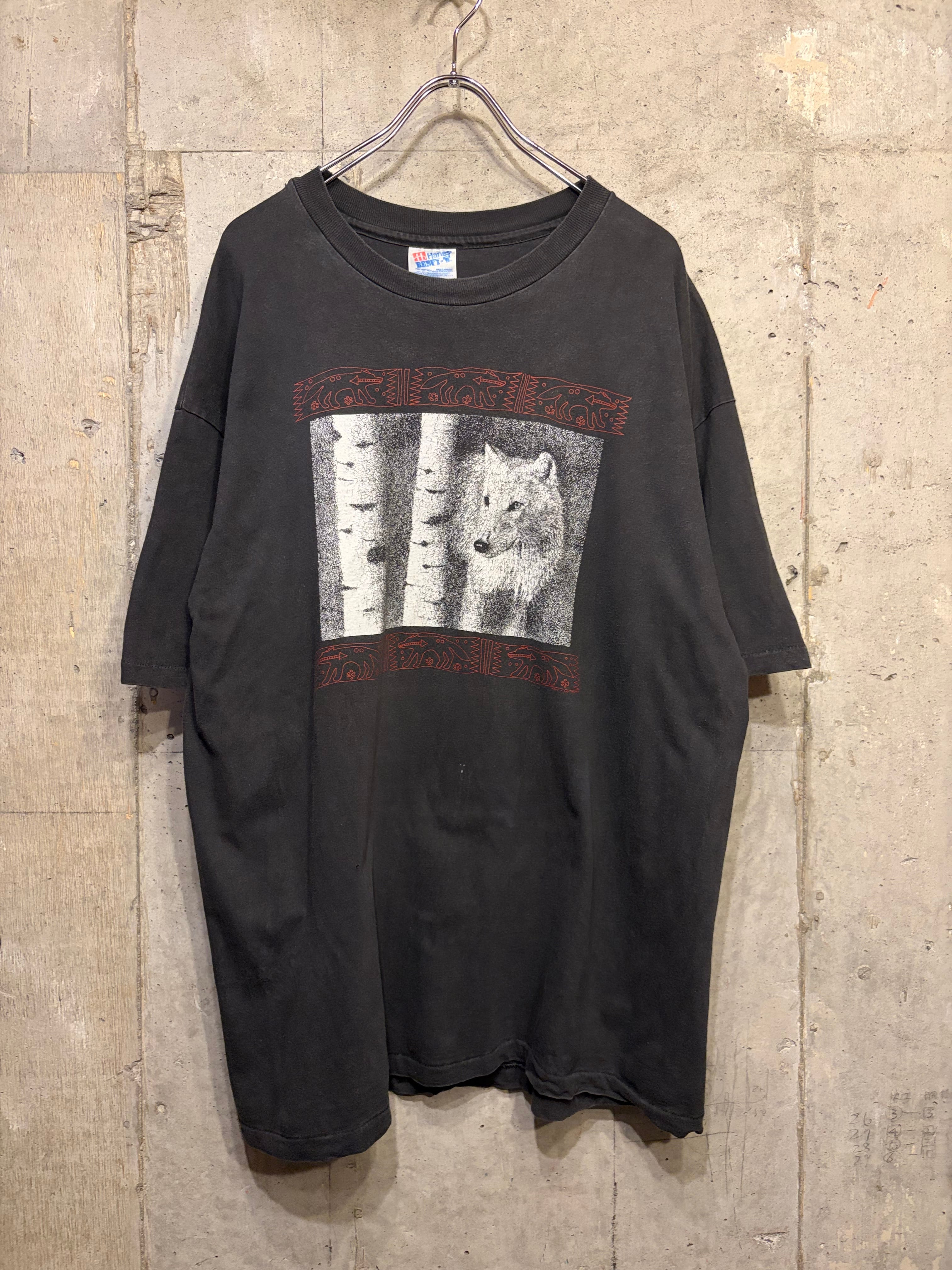 猫/アニマル | Small Cat