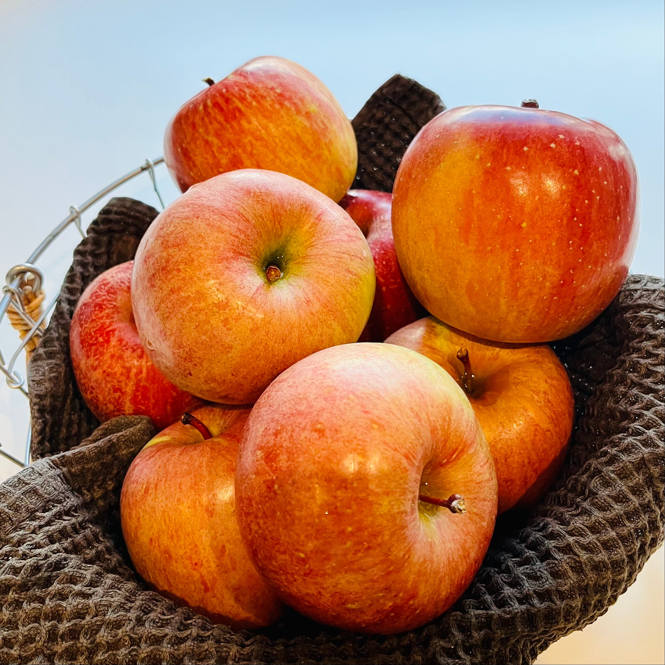 阿東徳佐のりんごの甘酒 | The Moonlight Dog & Co.