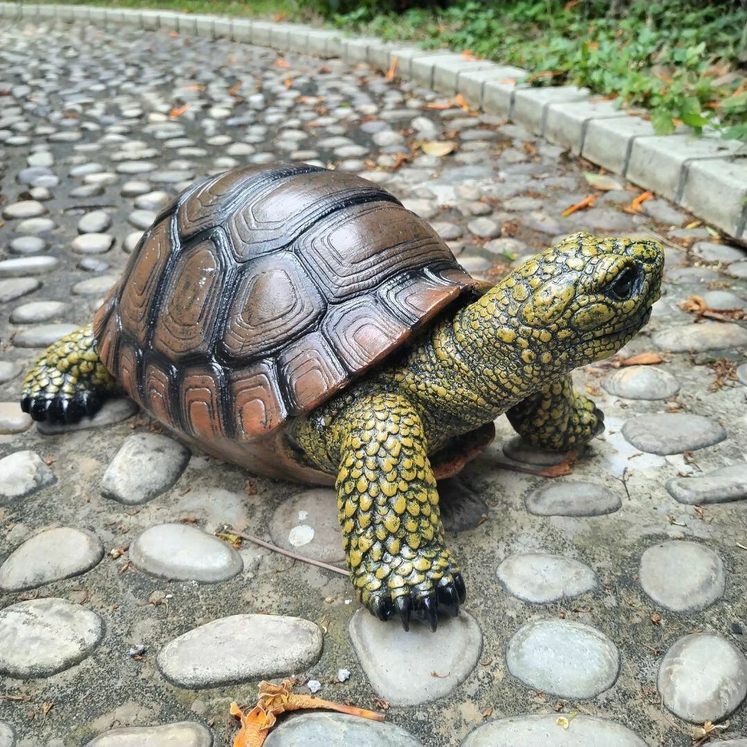 わけあり 金魚 アート 樹脂 プレゼント アクリル 亀 カメ 置物 インテリア