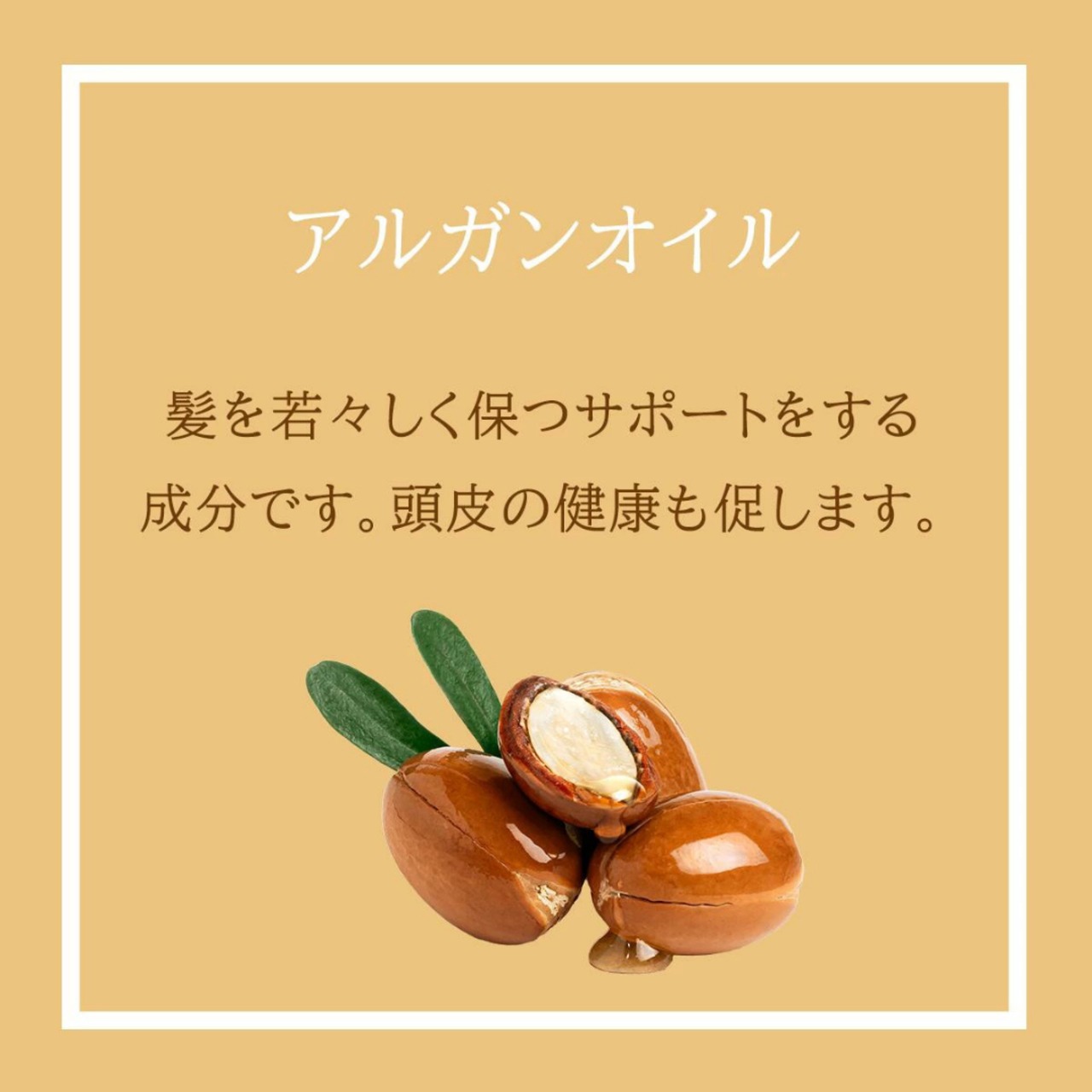 Karseell(カーセル) モロッカンアルガン ヘアオイル|人毛ウィッグおすすめケアオイル
