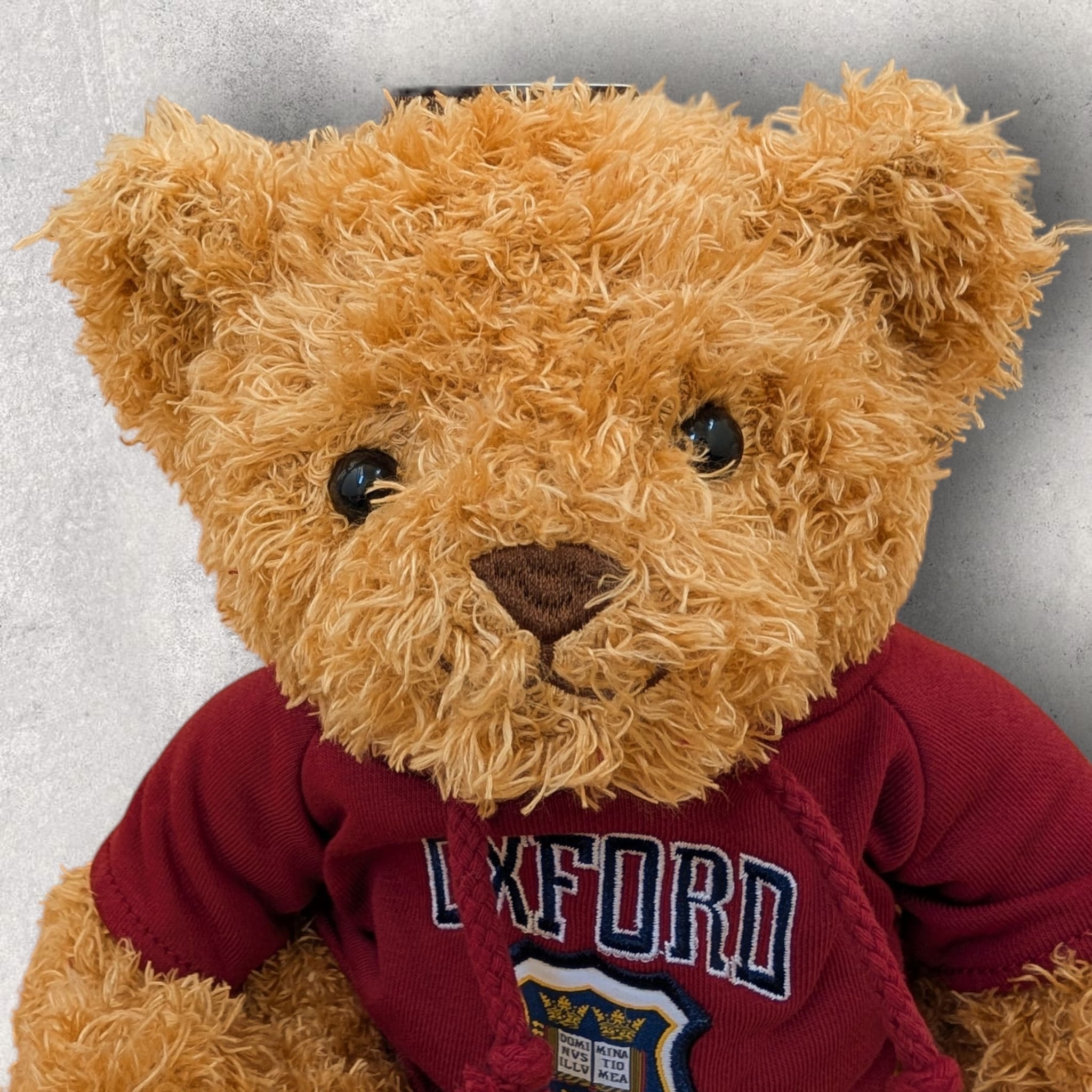 レア☆入手困難☆英国王室御用達☆ハルシオンデイズ☆1993年イヤーオブテディ オックスフォード大学ベア REDパーカー Elgate Products 90406