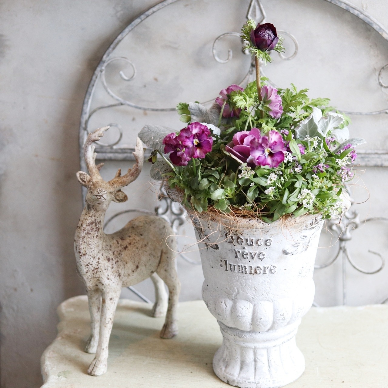 冬から春に楽しむ寄せ植え　アネモネファネモスアンティークなポットのベルベットバイオレットの寄せ植え　お正月にオススメ　届いてすぐ玄関に飾れる 　プレゼントにもオススメ　