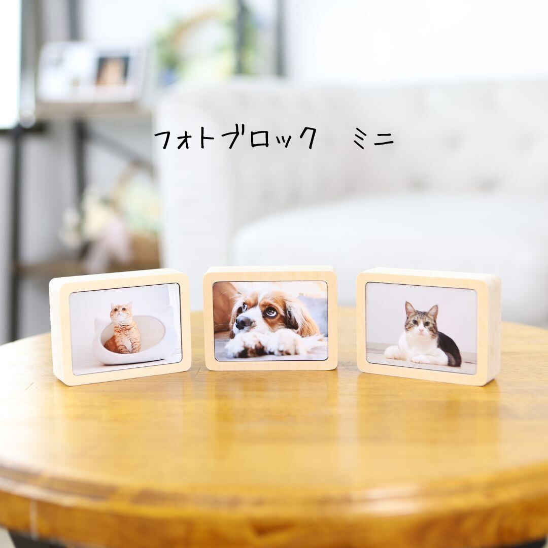 フォトブロック ミニ 1個 | studio-anne