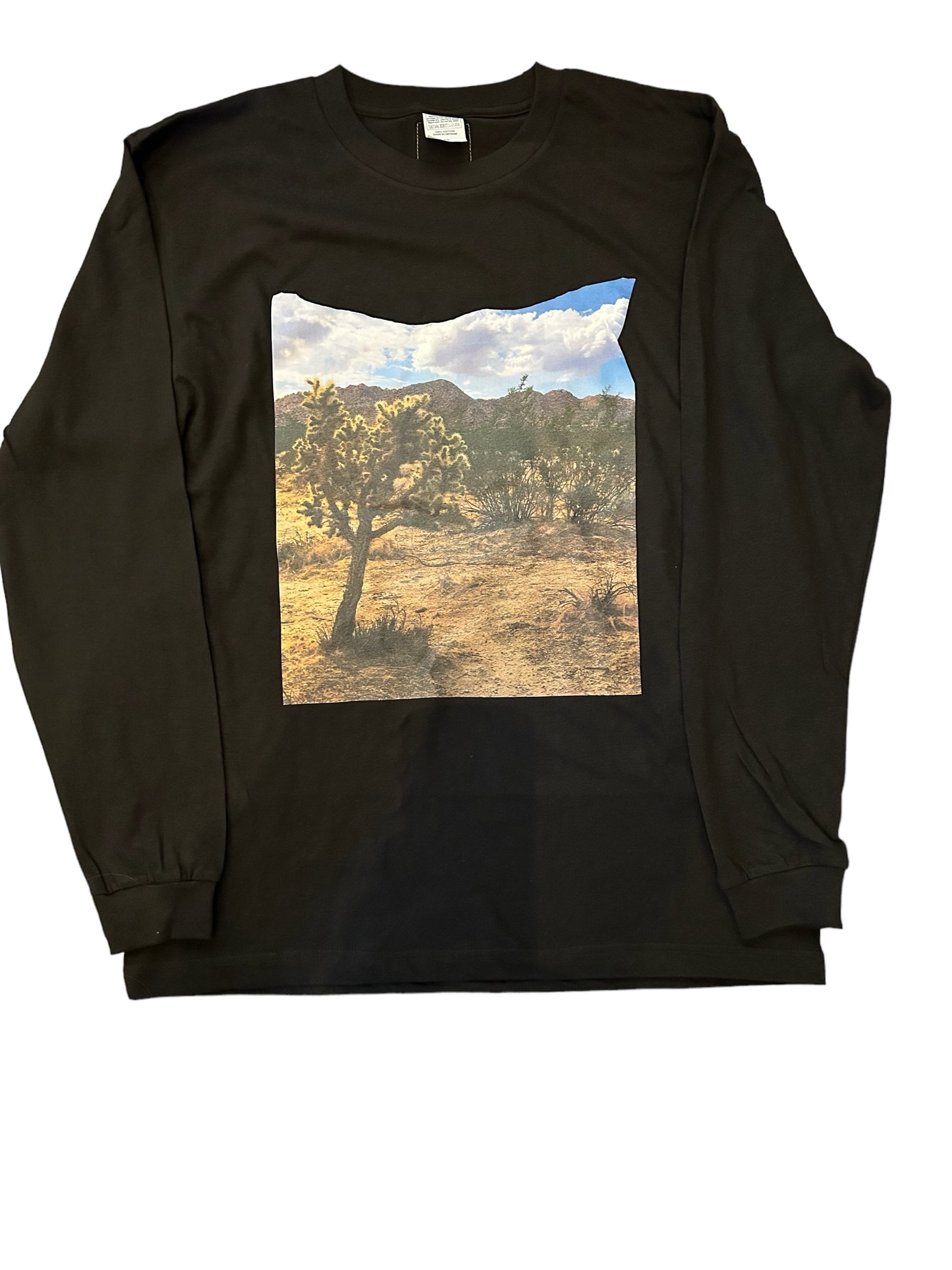 Joshua Tree Original Print Long T