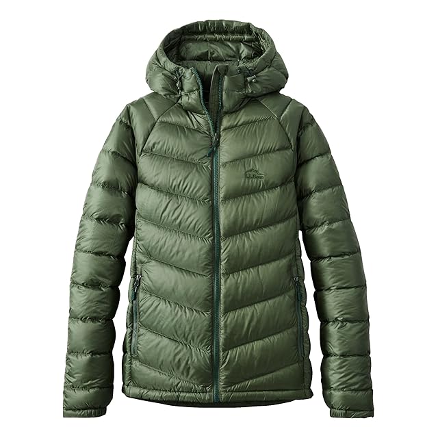名作 Patagonia ダスパーカー ゲッコーグリーン S パタゴニア DAS
