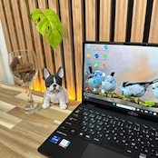 / おすすめ《超軽量》富士通 LIFEBOOK U9311/F SSD256GB 第11世代 フルHD メモリ8GB ノートパソコン 安心サポート&3ヶ月保証付き