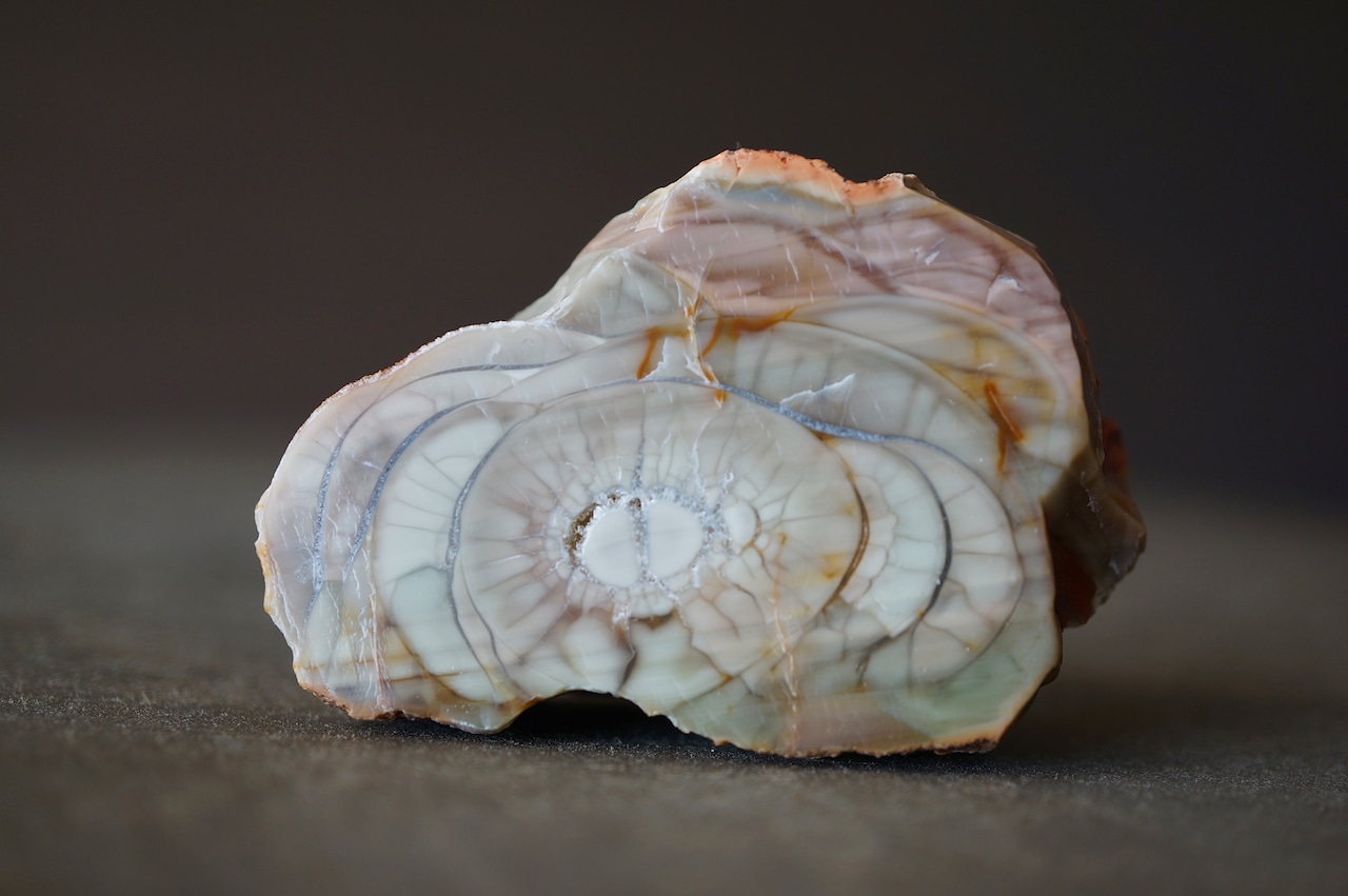 ロイヤルインペリアルジャスパー Royal Imperial Jasper 1965