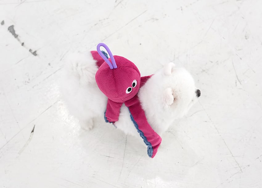 stretch octopus toy 2color /  ノーズワーク ペット 犬 おもちゃ 知育玩具 おやつ隠し 可愛い わんちゃん ストレス解消 音が鳴る toy カシャカシャ toy10