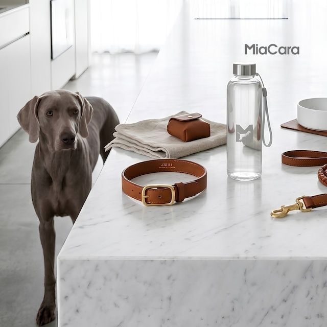 MiaCara｜Bottiglia Water Bottle 水筒