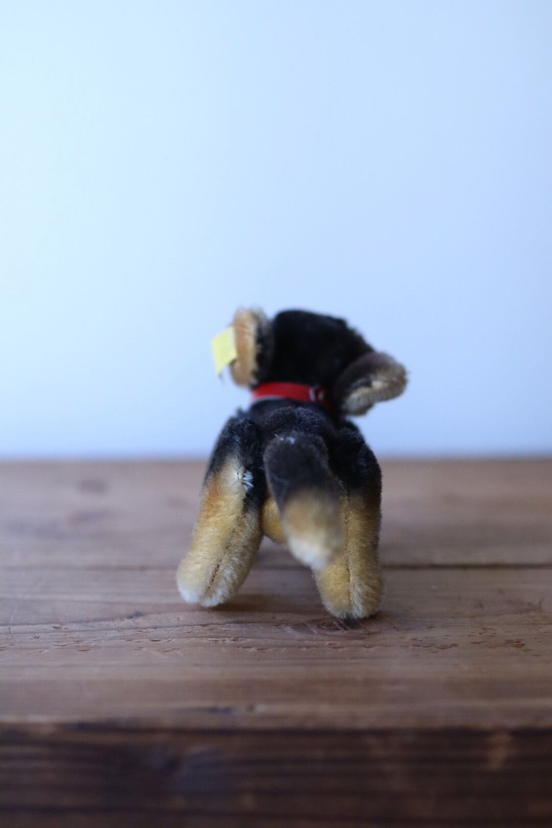 シュタイフ 犬 ダックスフンド Steiff Beppo 10㎝ ヴィンテージ ぬいぐるみ