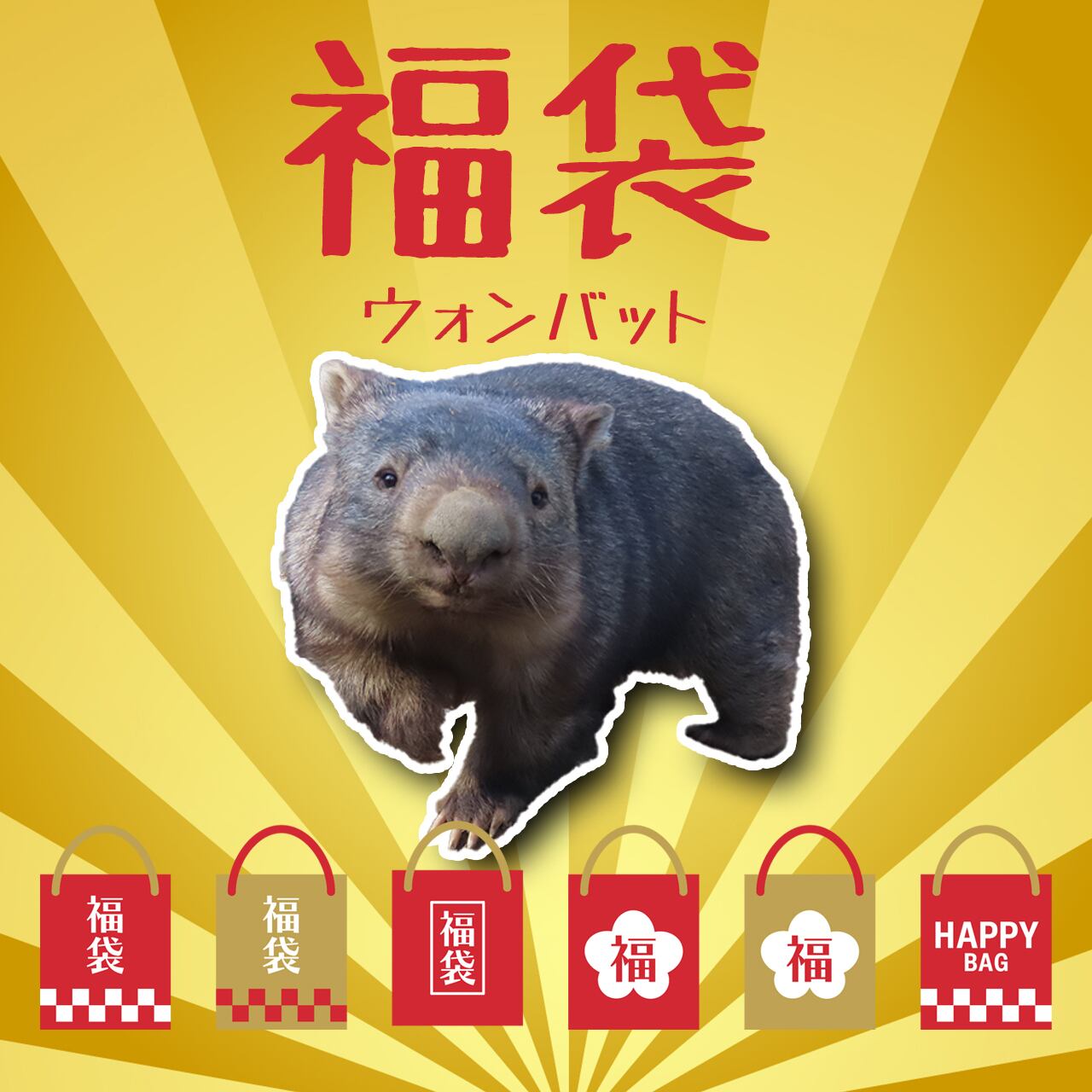 哺乳類 | ZOOっとながの