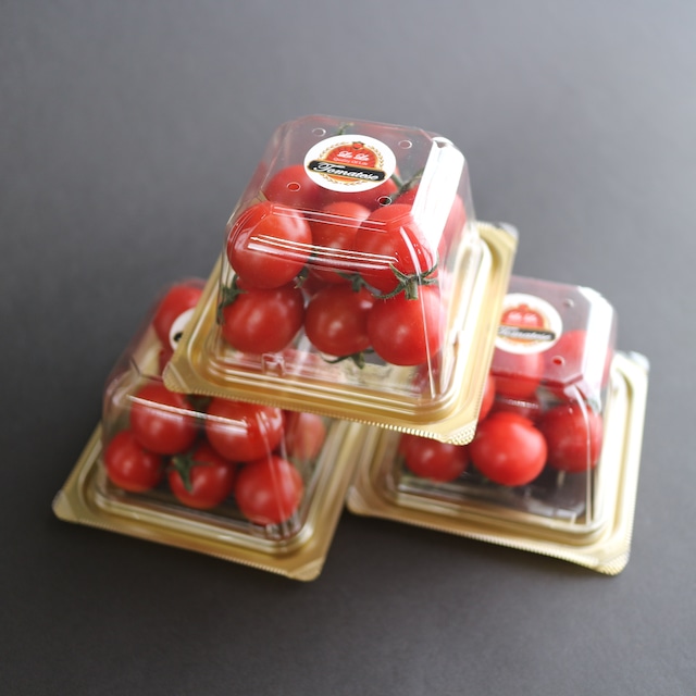 【送料無料】ララ・トマテーゼ　フルーツトマト ギフトパック150g × 3個セット