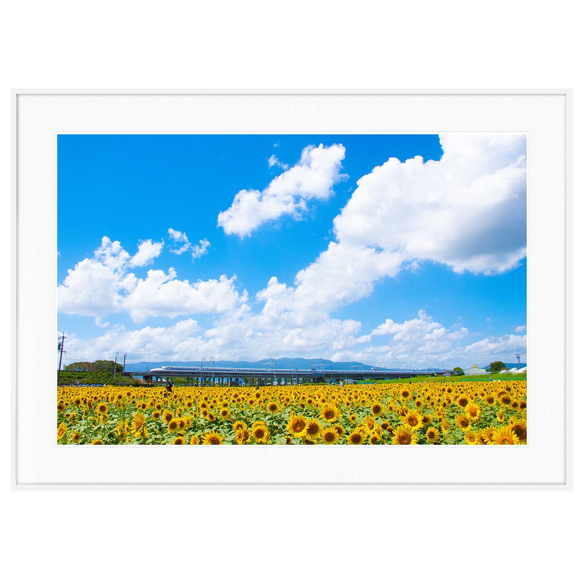 絵画　ひまわり畑21　　原画　A4サイズ　額縁無し 絵画ひまわり畑21原画A4サイズ額縁無し 版画 絵画 ひまわり畑2022