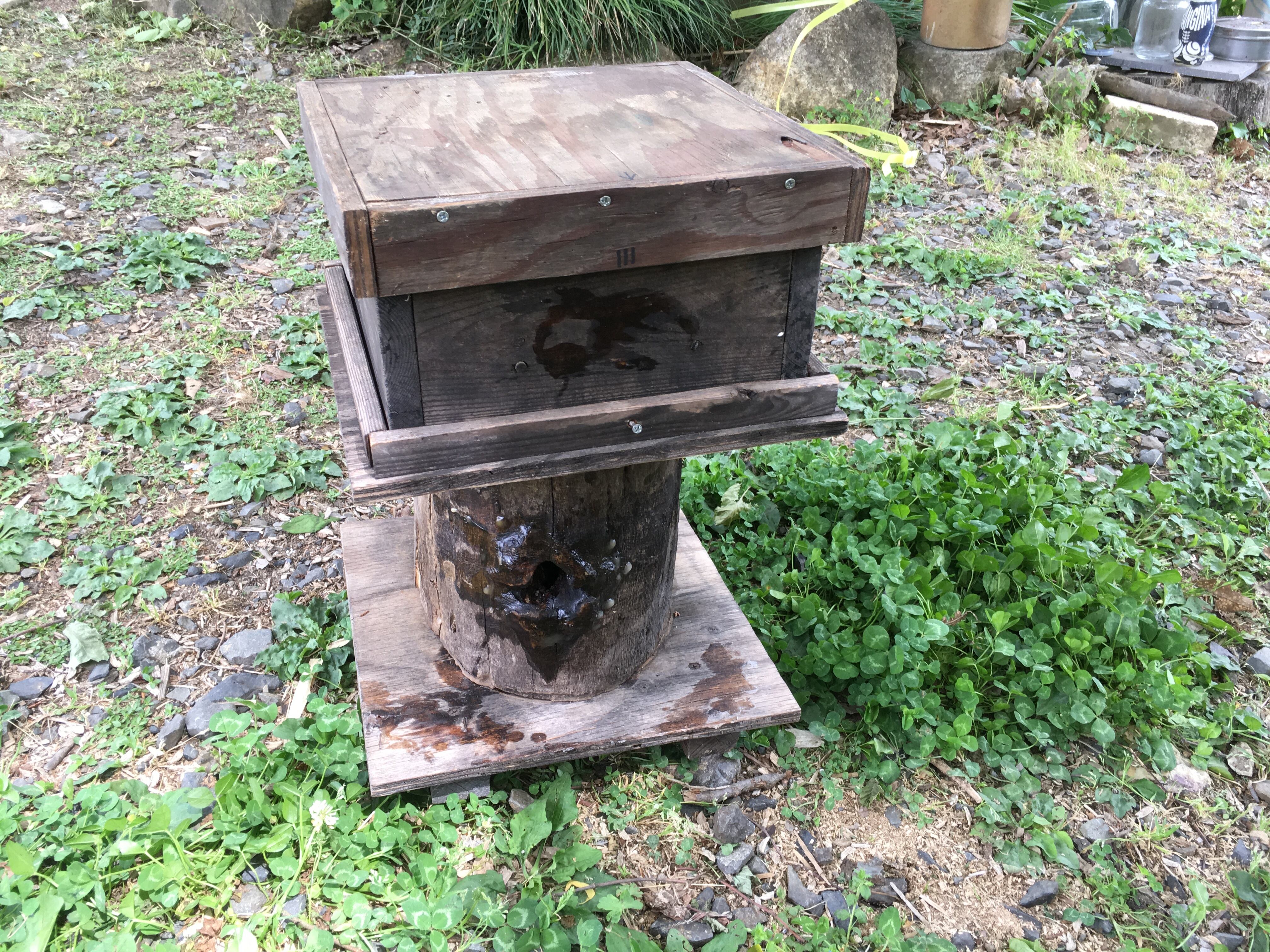 巣箱（日本みつばち群入り）※直接渡しのみ | 岐阜日本みつばちプロジェクト