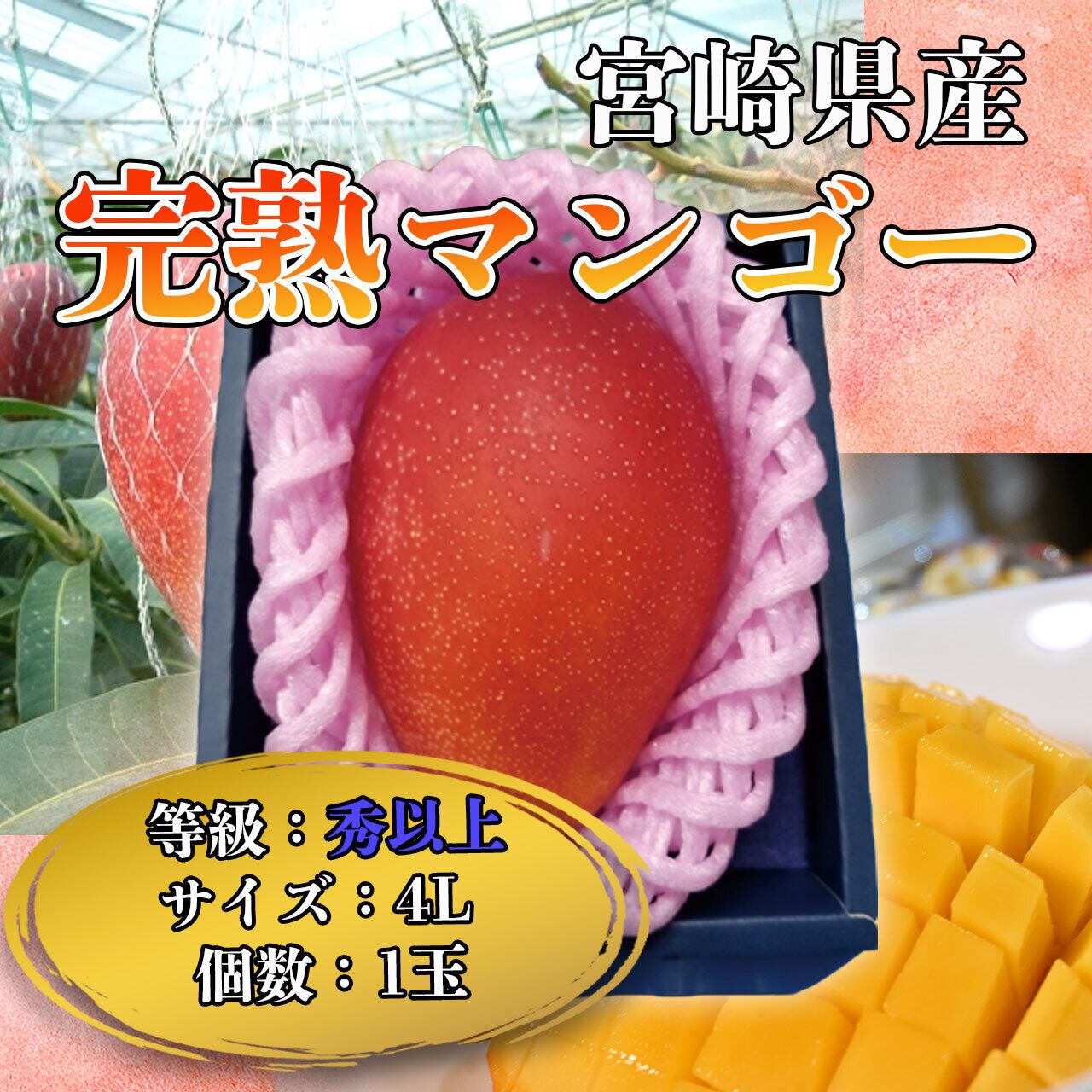 完熟マンゴー　1玉　【最高級】　4L　ふるさとのかほり　宮崎産　贈り物　ギフト　
