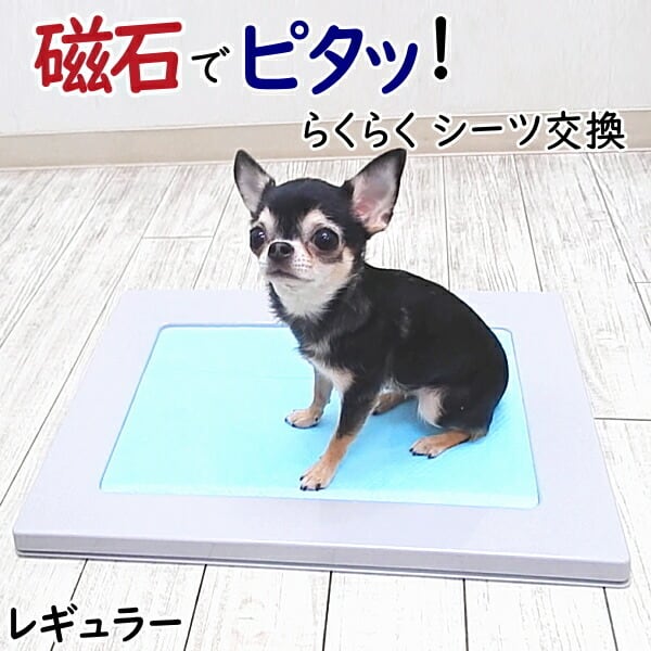 犬 アクリルトイレ ワイド おしゃれ ドギレット風 パラグラス製 犬用