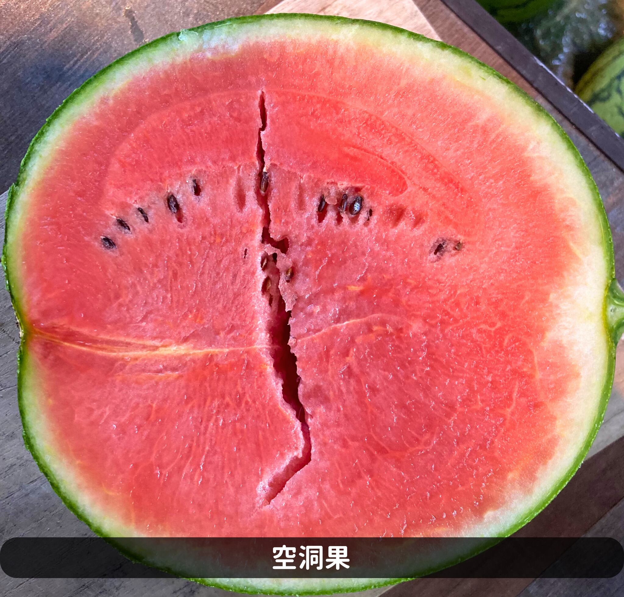ご家庭用 ピノガール2玉 【タネごと食べれるシャキシャキ小玉すいか】
