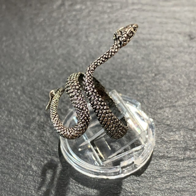 銀蛇 ぎんだ の指輪 異世界雑貨屋 銀蛇 ぎんだ の指輪 異世界雑貨屋