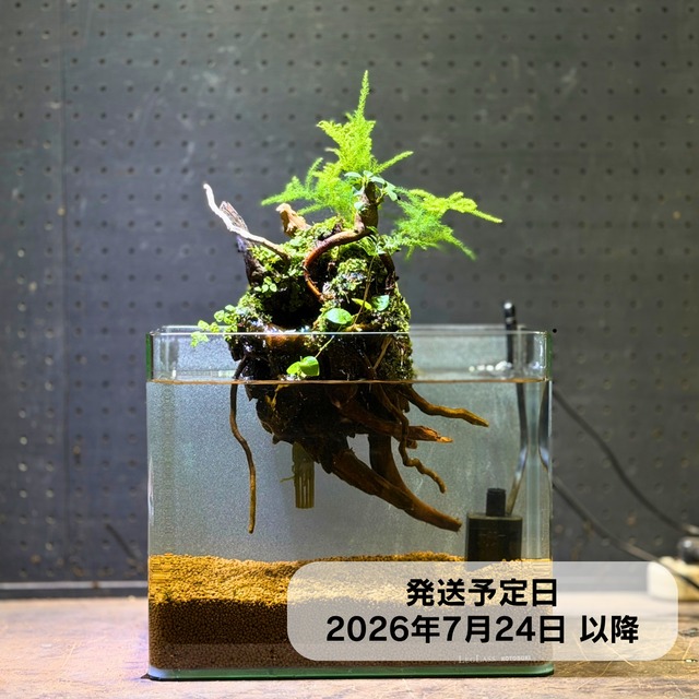 アクアテラリウム 浮根～fune～【111】｜水槽に引っかけるだけで