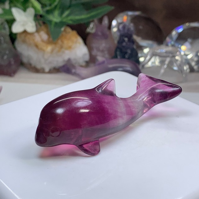 7.癒☆可愛いフローライトイルカさん