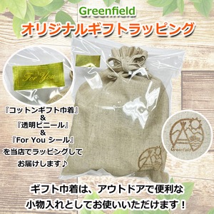 【ギフト袋に入れてお届け！】ヤマトフーズ 瀬戸内レモン農園 レモスコ2本 ギフトセット