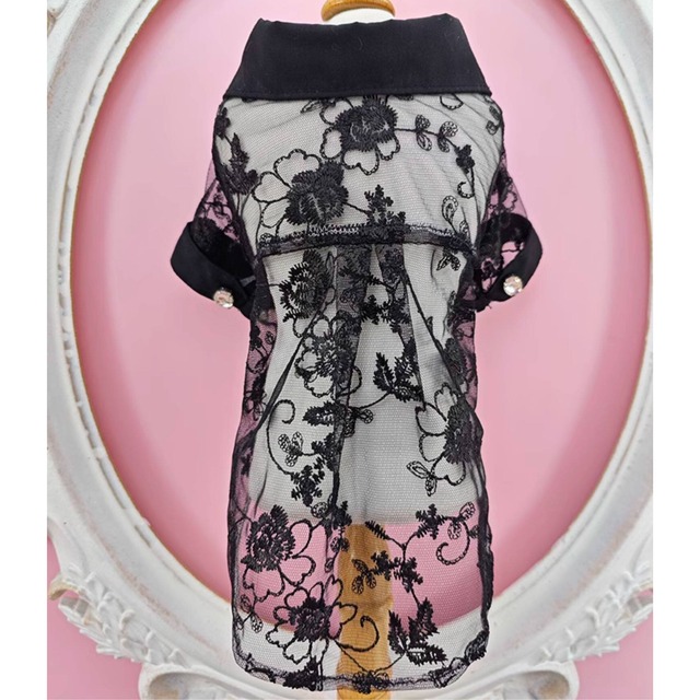 クラシカルレースブラウス　00938