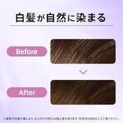 Wella ウエラ カラートリートメント 白髪用 うねりケア アッシュブラック 黒 180ml (ウエラトーン エッセンスイン カラートリートメント)