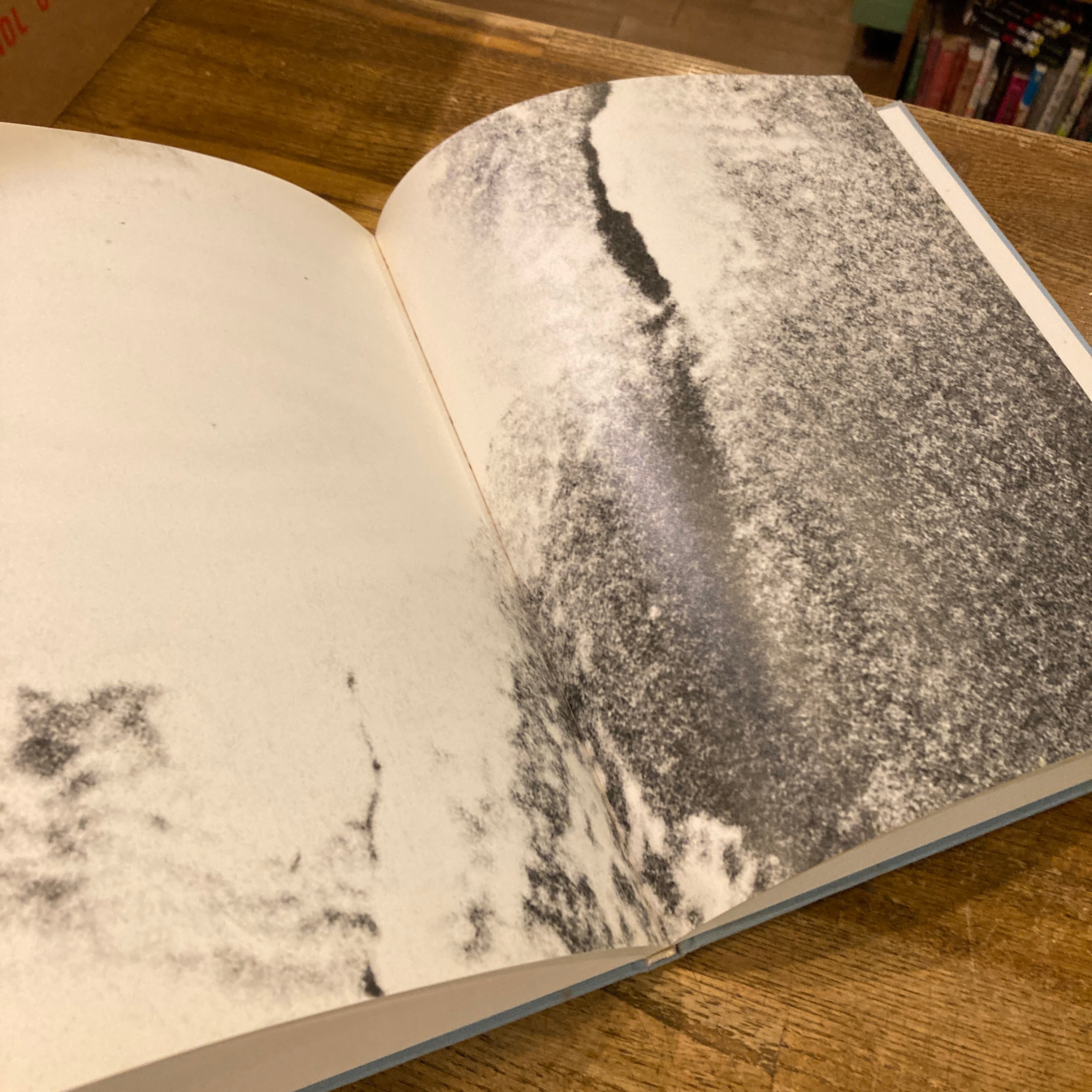 Freedom From The Known / Wolfgang Tillmans（ヴォルフガング