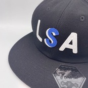 VIIUNION ICWX-114 全2種