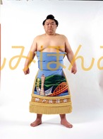 平成１２年３月場所優勝　前頭　貴闘力忠茂関