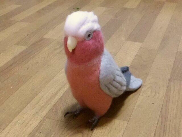 専用ページ　羊毛フェルト　可愛いクルマサカオウムフィギュア　鳥　オーダー ライフサイズ 1/1サイズ：クルマサカオウム 受注作成 羊毛