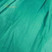 ベリーダンス 衣装 ジプシースカート グリーン系 無地 シンプル 練習 レッスン 緑 ボリューム 鮮やか ダンス衣装 イベント ステージ 大きく広がる 舞台 スカート ふんわり