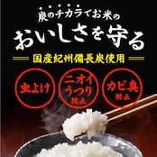 本格 炭のチカラ [米びつ用防虫剤 1個入]