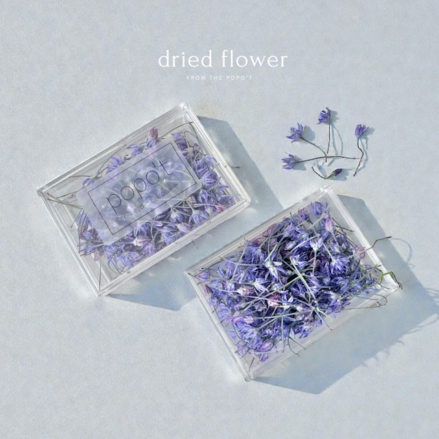 dried flowers shop .by popo't