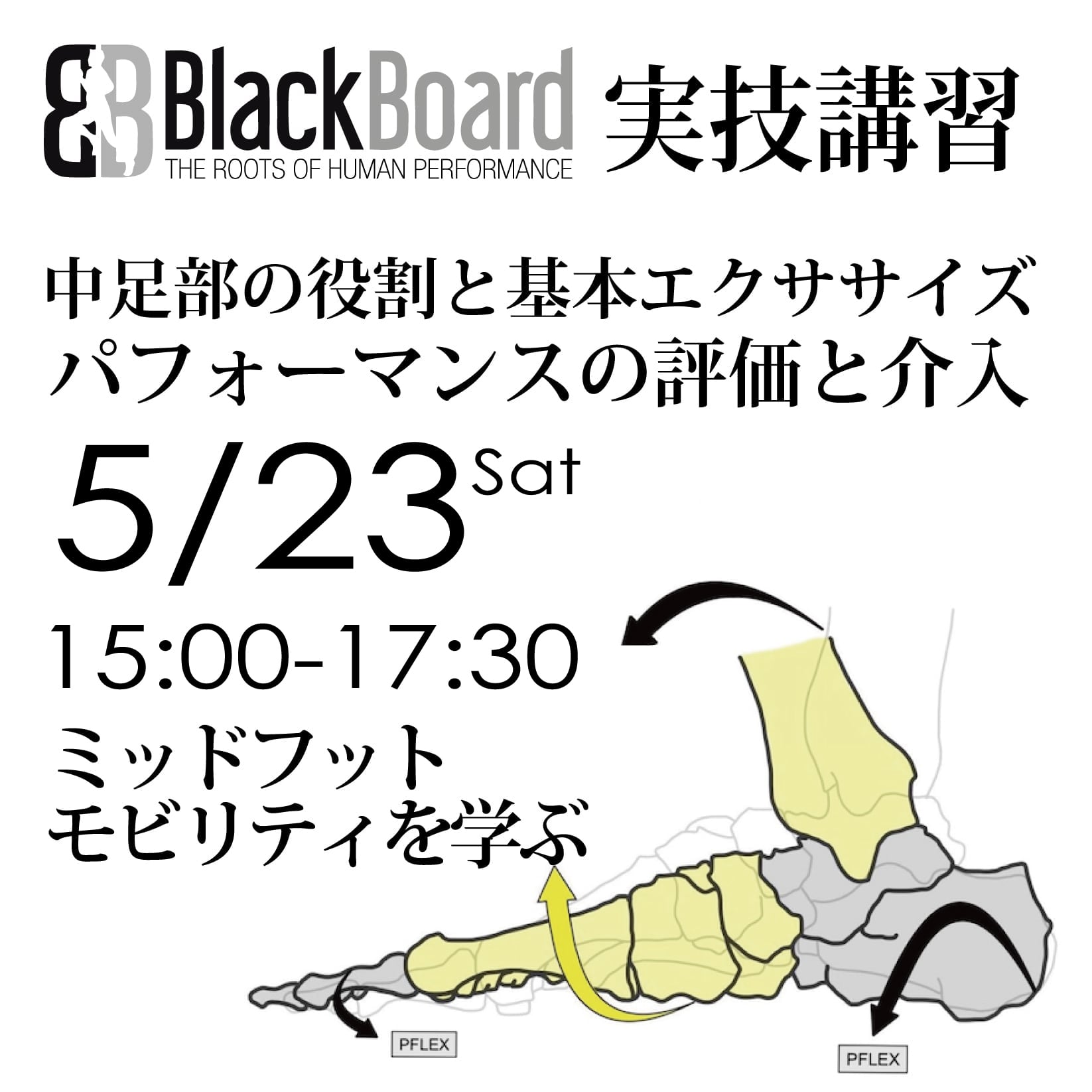 BlackBoard Training | BlackBoard Training Sysytem 日本公式ストア