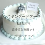 【直接受取】 7月インユースタンダードケーキ