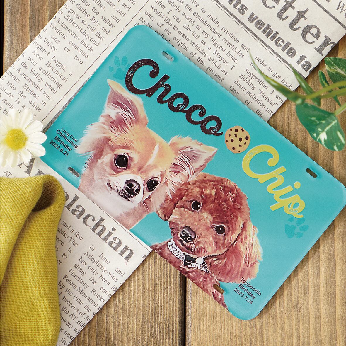 オトメイトマーケット オトふゆ ハニヴ エリヤ マットミニフォトカード