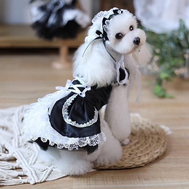 ゴスロリ風のお洋服一覧2