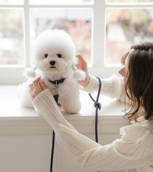 即納【stroll】Leather Collar (Navy)