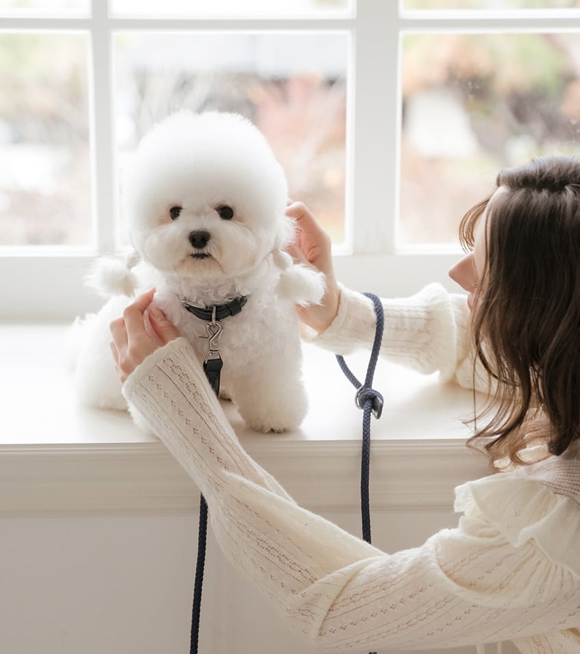 即納【stroll】Leather Collar (Navy)