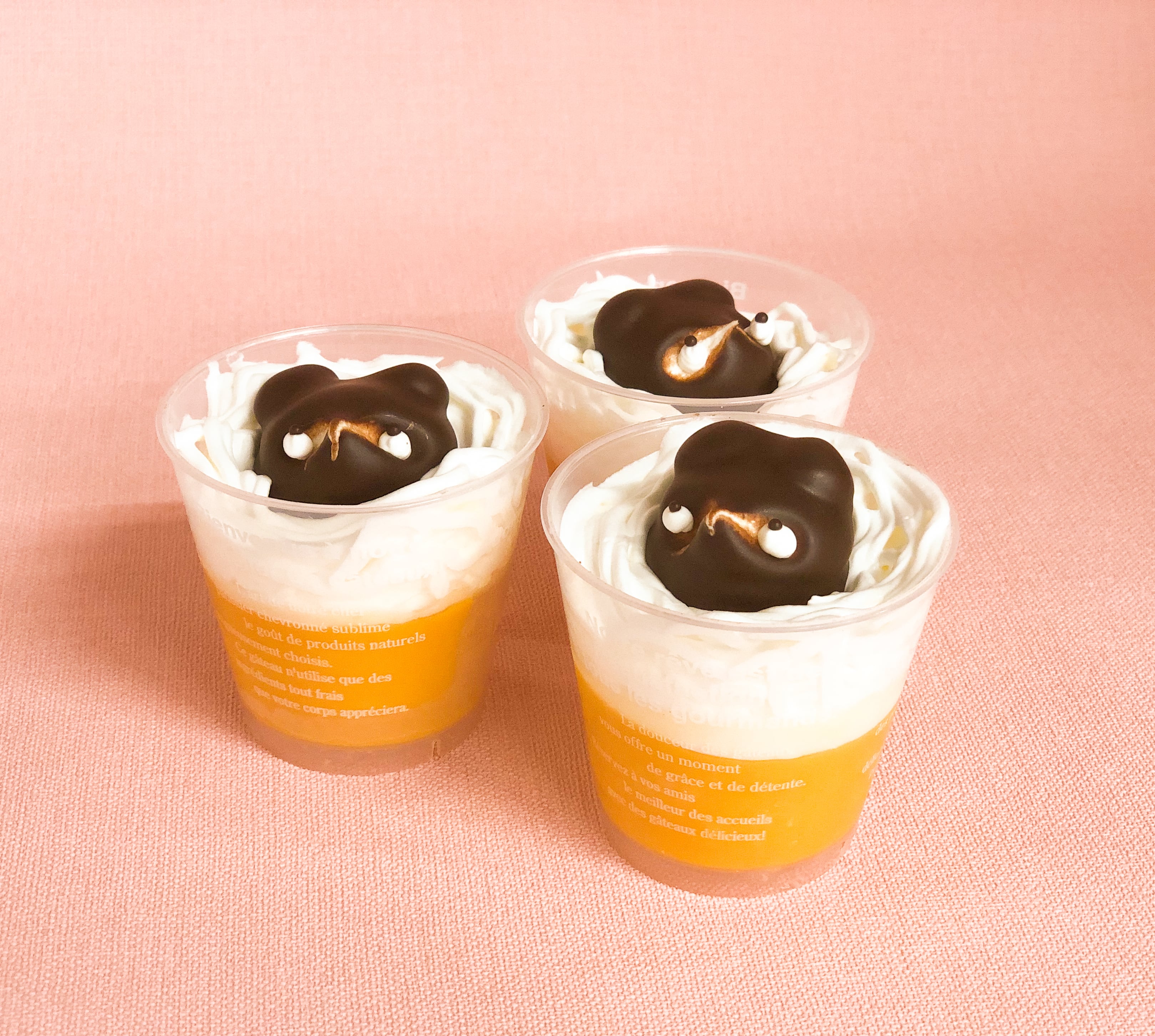 たぬきプリン4個入 | pâtisserie OOTAKE -大竹菓子舗 りんごの国・青森