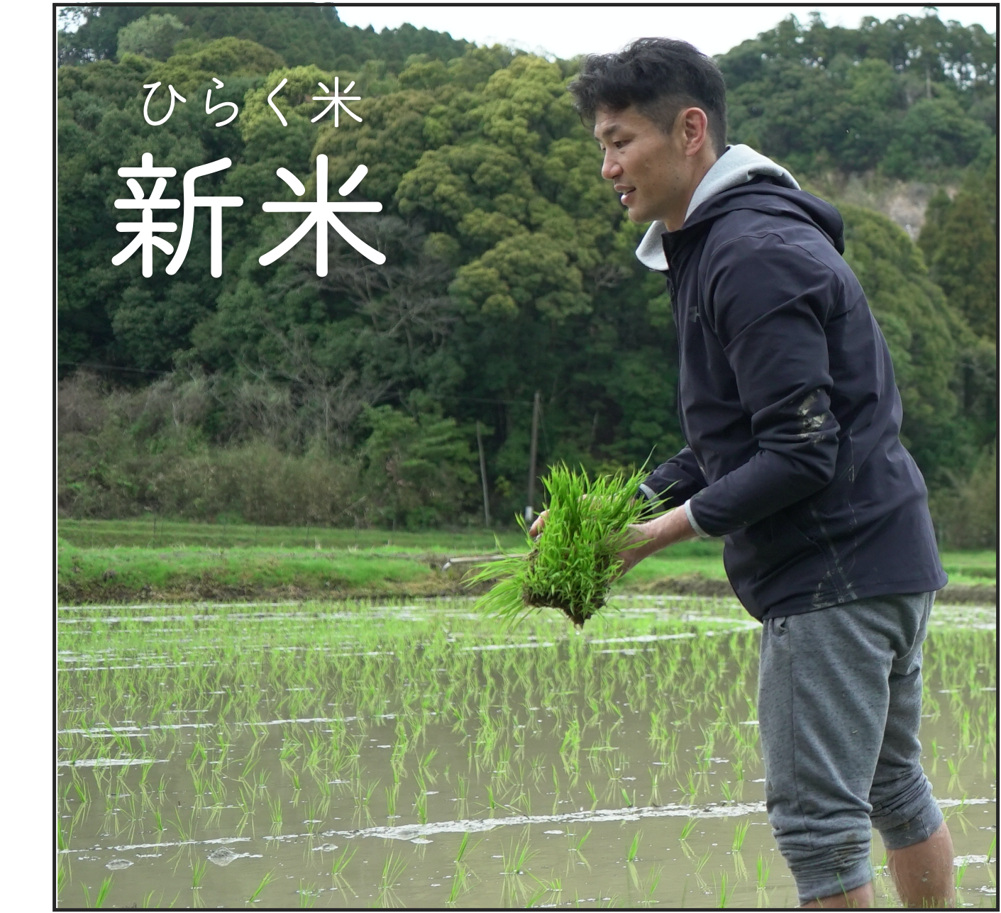 【 新米 / 白米 】2025年度:ひらく米  5kg