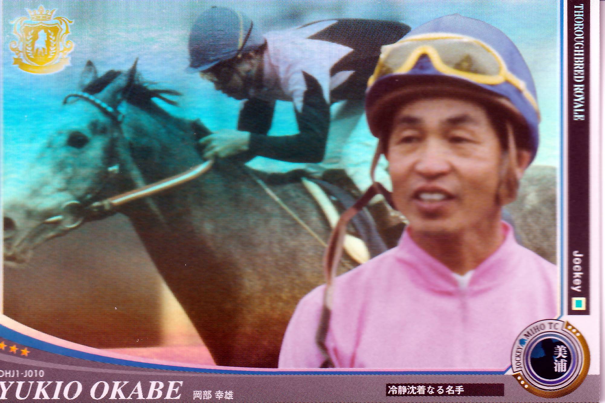 競馬カード　キラキラ　馬　乗馬　まとめ売り　アルバム G１ イ*将様 競馬カード キラキラ 馬 乗馬 まとめ売り アルバム G1 イ*将