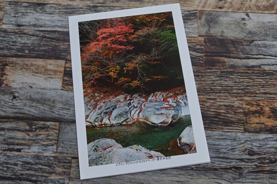 飾るための用紙 A3ノビ　写真用紙 半光沢 サンワサプライ フォト　写真 半光沢／半切・A3・A3ノビ（サンプルなし）］大判写真プリント