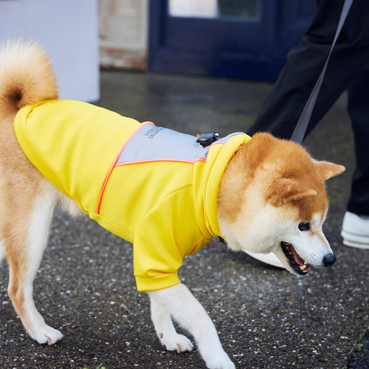 専用出品　meru様　3L2Lサイズ10kg RAINPROOF PULLOVER（XL.XXL）レインプルーフプルオーバー | MANDARINE